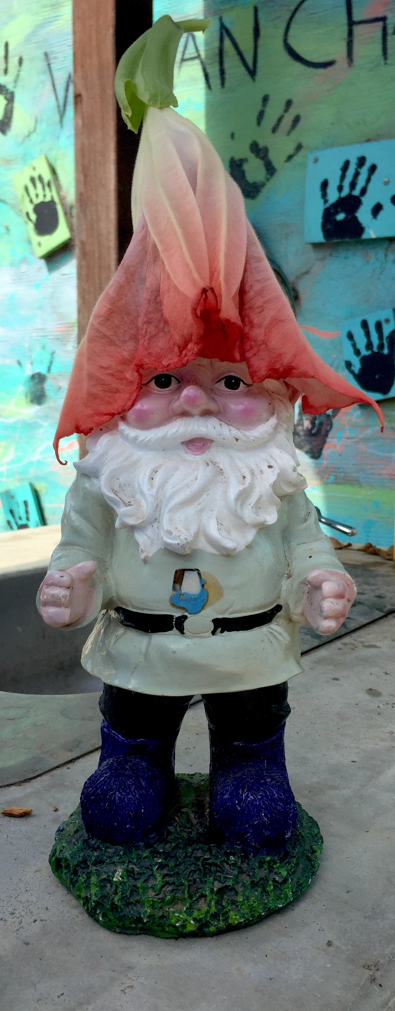 gnome