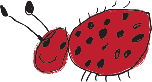 ladybug